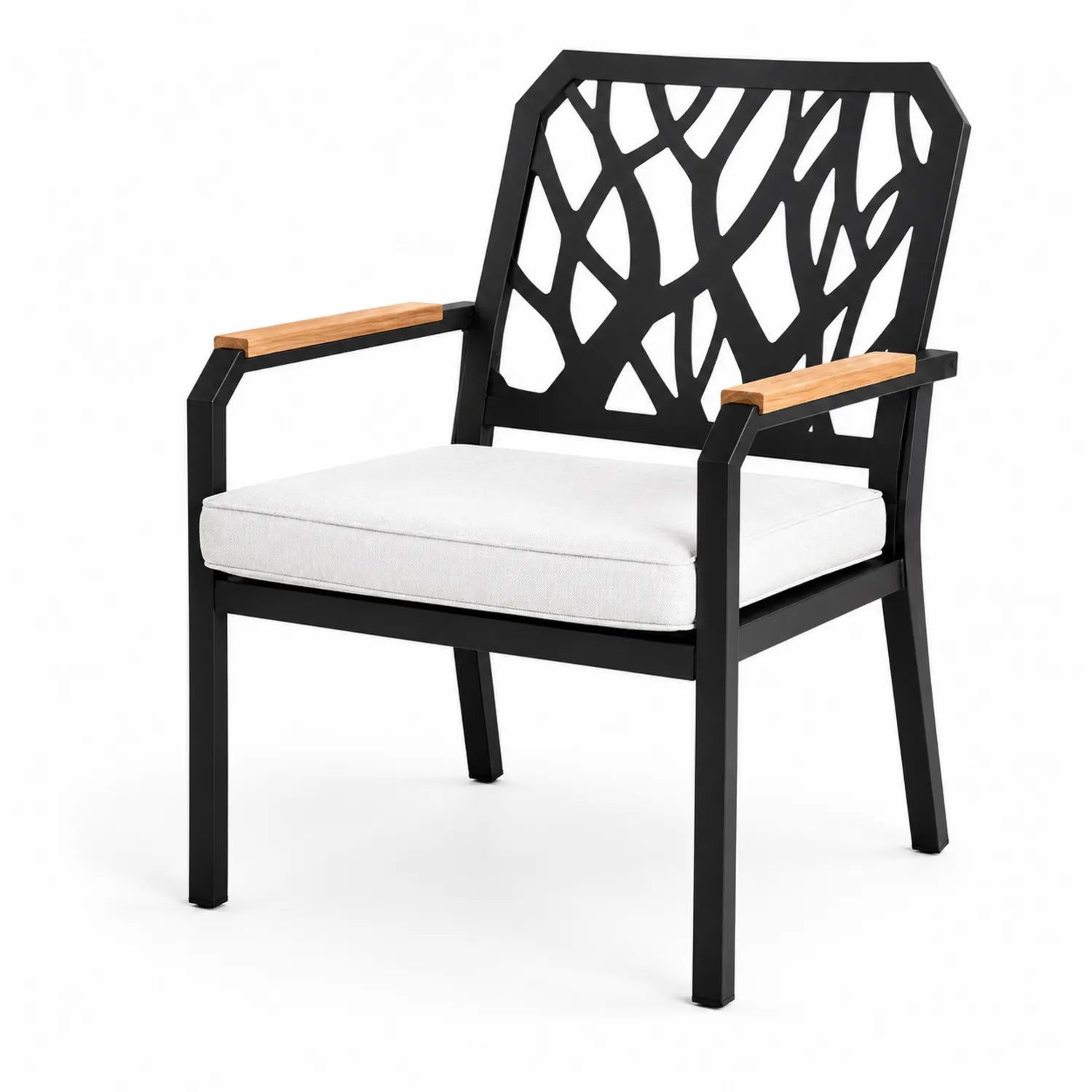 Poltrona in Alluminio Nero con Braccioli in Teak e Cuscino in Poliestere Bianco